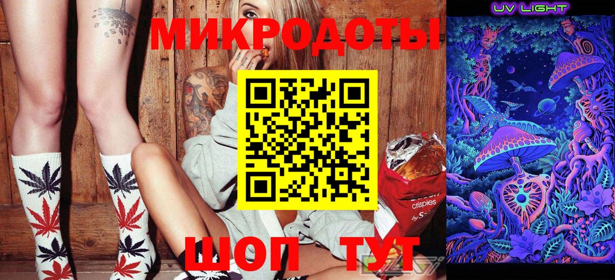Галлюциногенные грибы Psilocybe Богданович