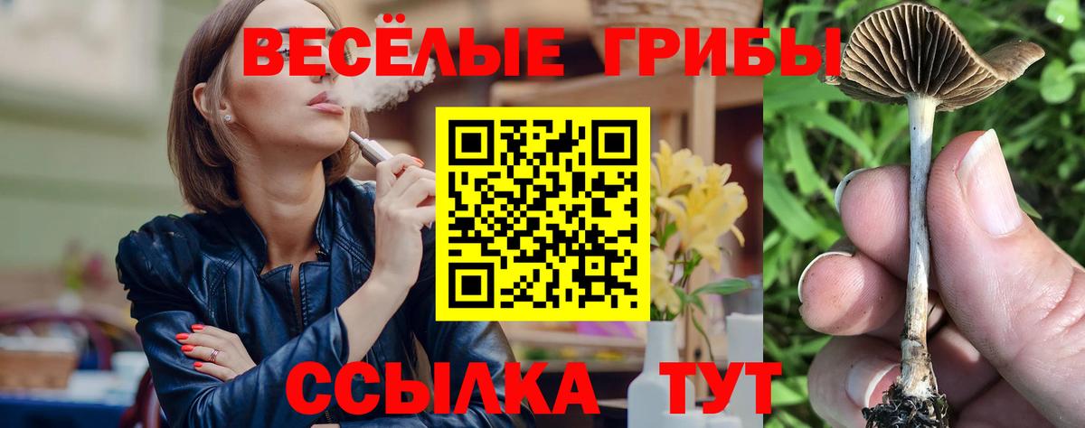 Псилоцибиновые грибы Psilocybine cubensis  Вход с VPN  Богданович  Псилоцибиновые грибы Psilocybe 