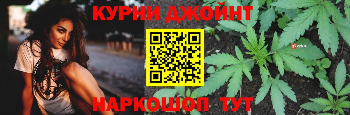 Конопля план Богданович